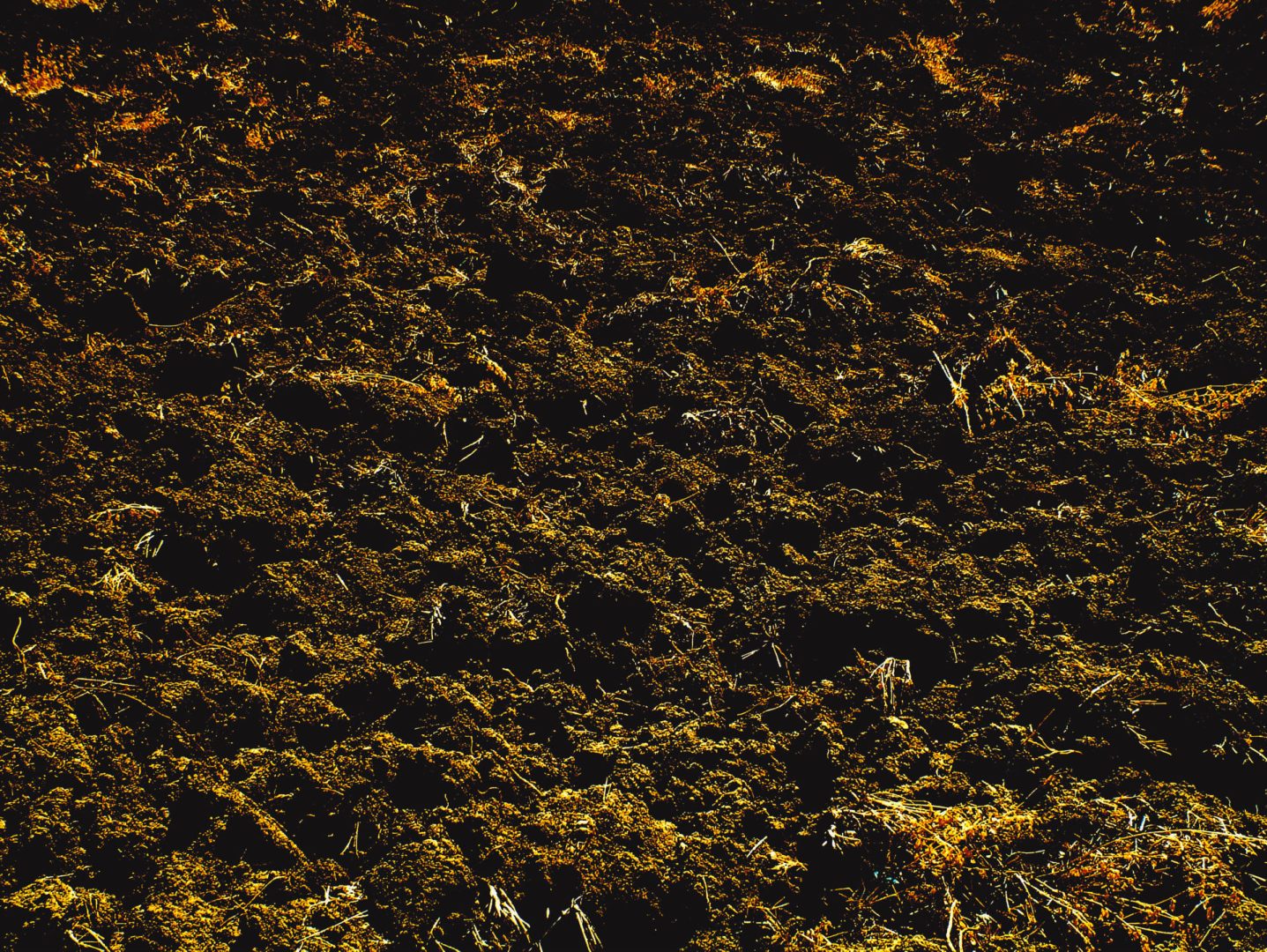 Montelabbate, Pesaro – Italy | Struttura visiva 122