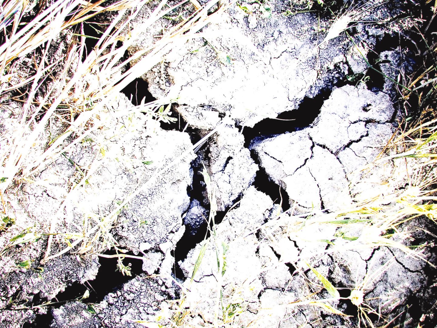 Tavullia  | Struttura visiva 430