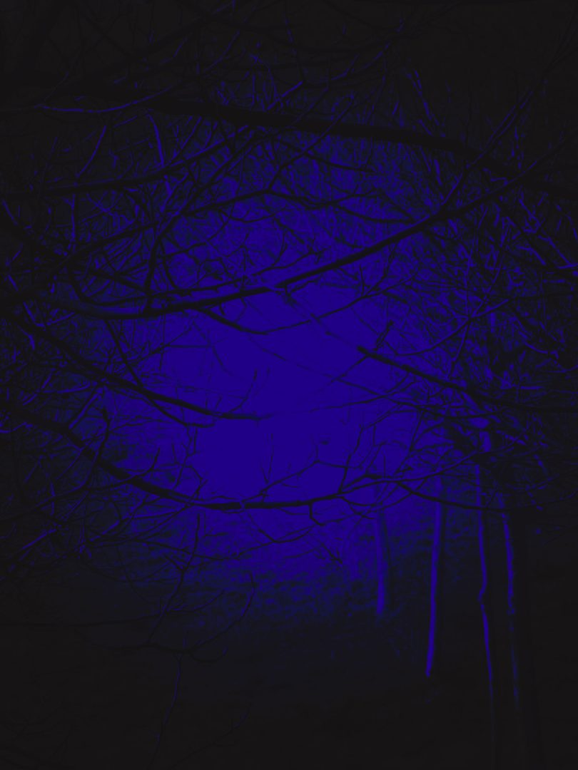 Urbinate, Pesaro Urbino – Italy  | Frammento di realtà consumata 472