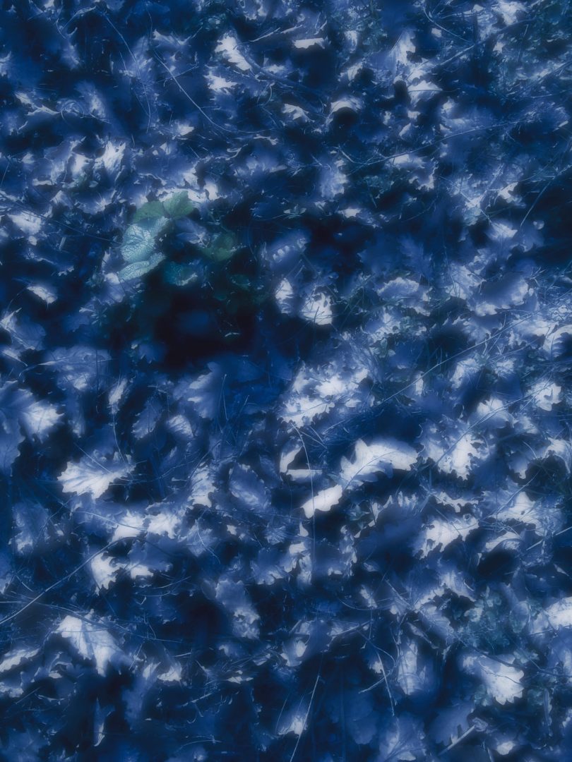 Pesaro – Italy  | Immagine visiva 484