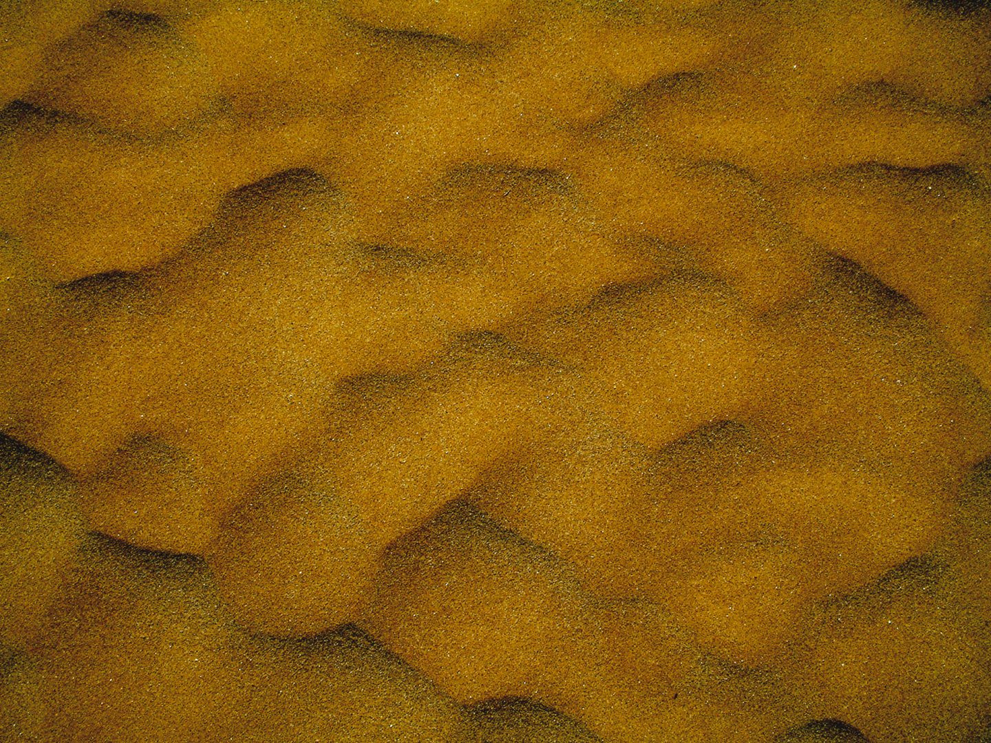 Adriatico – Italy  | Immagine visiva 633