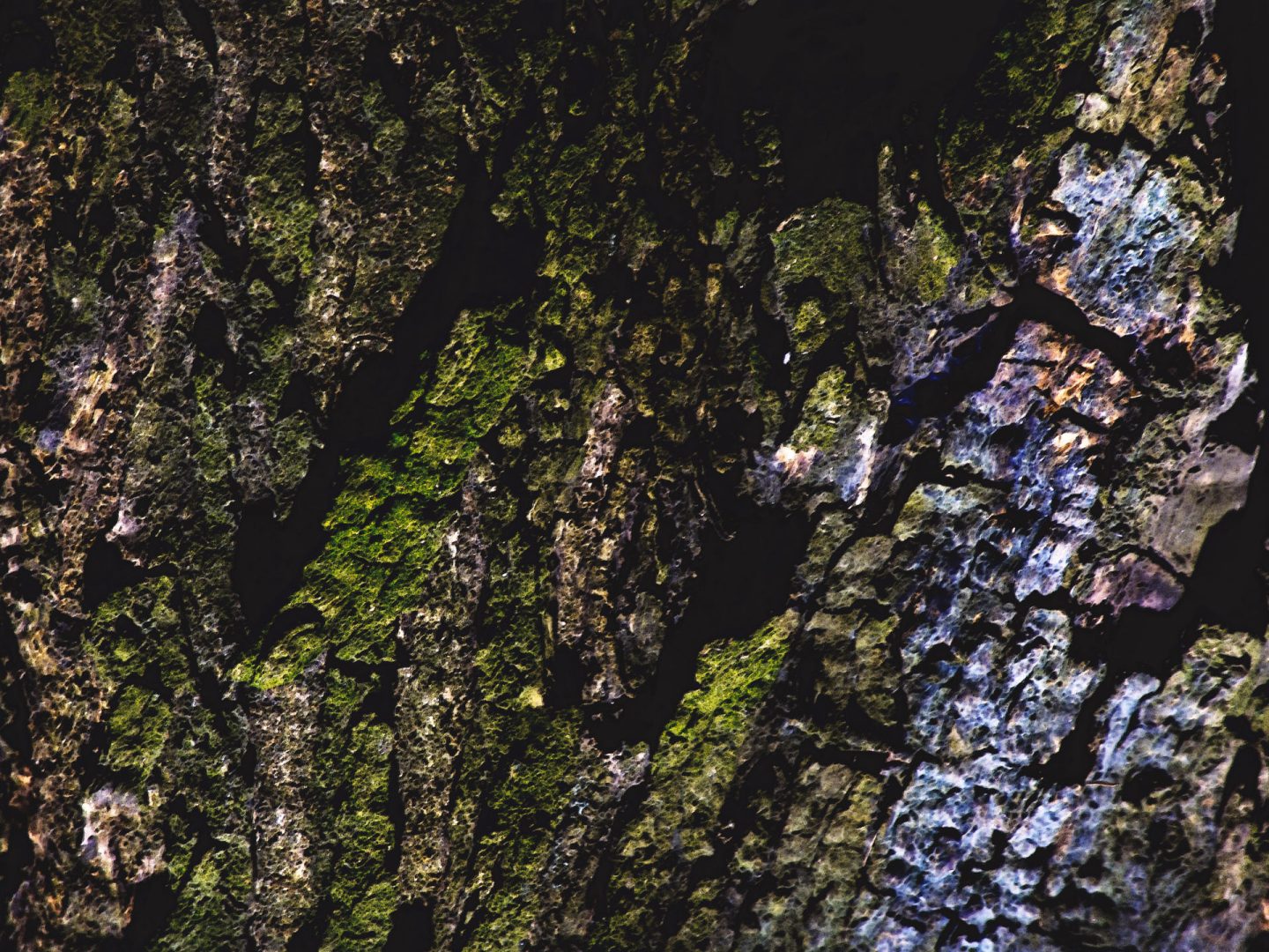 Marche – Italy  | Struttura formale essenziale 978