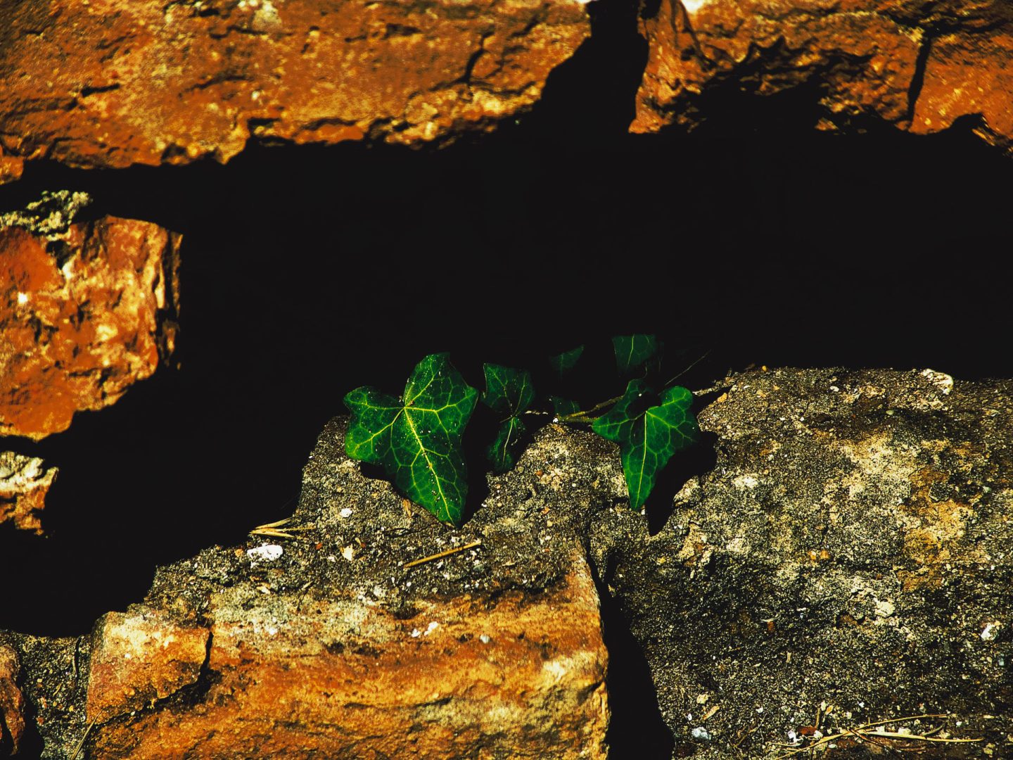 Marche – Italy  | Scorcio naturale 992