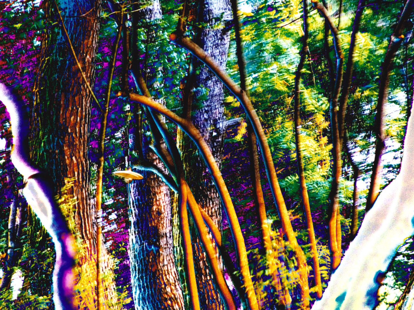 Villa Belvedere, Pesaro – Italy  | Rappresentazione contemporanea 143