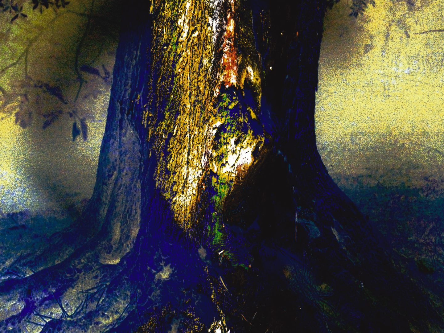 Notturno d’olivo – Pesaro – Italy  | Astrazione dal reale 149