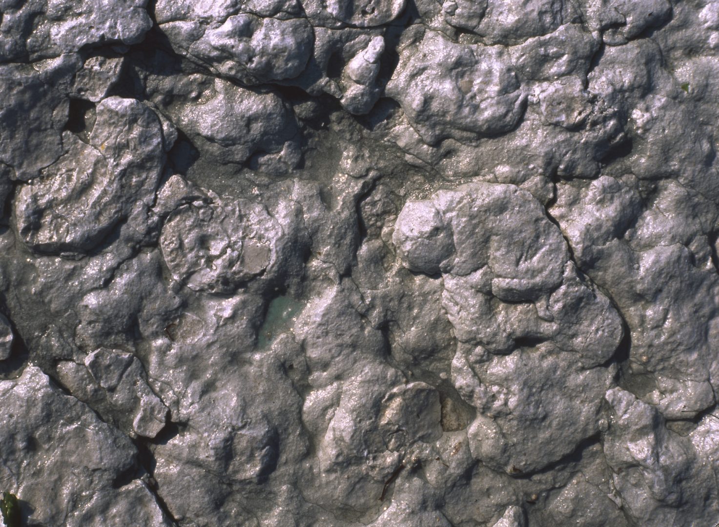 Adriatico, Pesaro – Italy 436