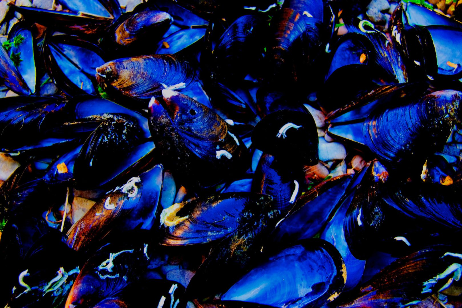 Il bello é il buono - MANGIARTE