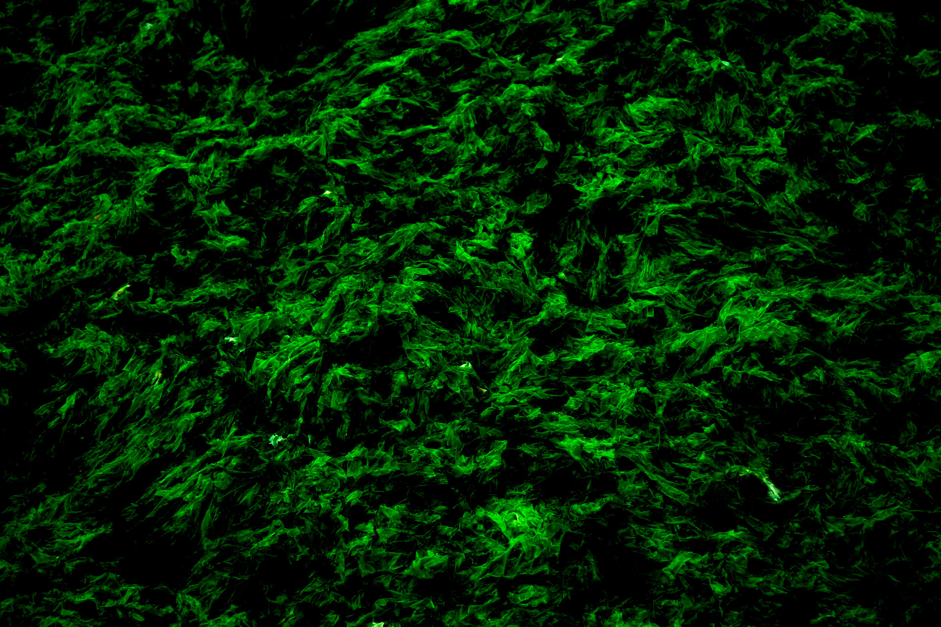AAF989 photographic artwork by Paolo Mazzanti