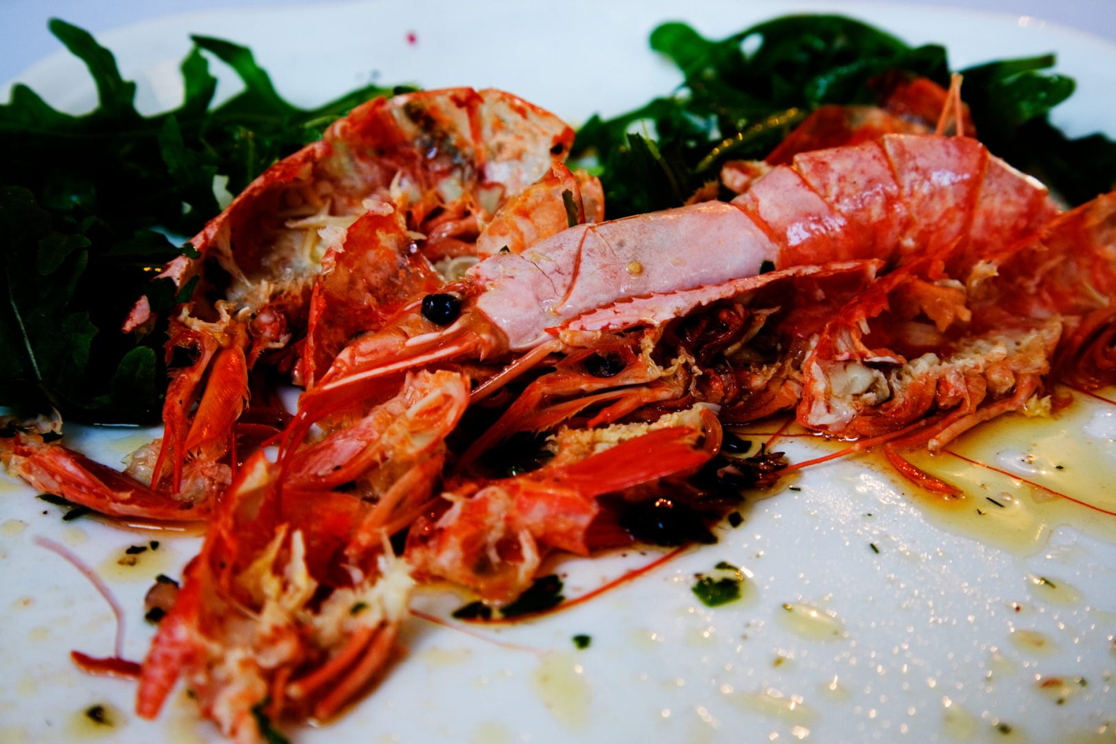 Resti di cibo, resti di vita 875