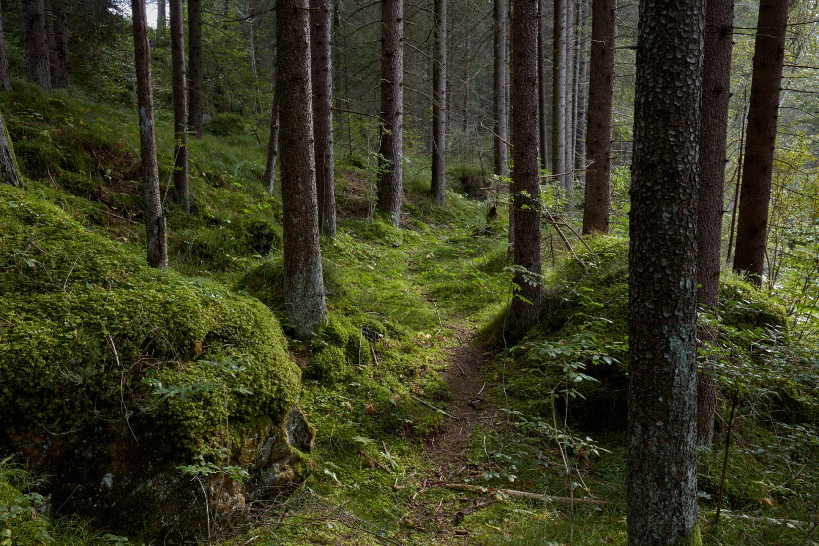 The call of nature  |  | Scorcio naturale 060