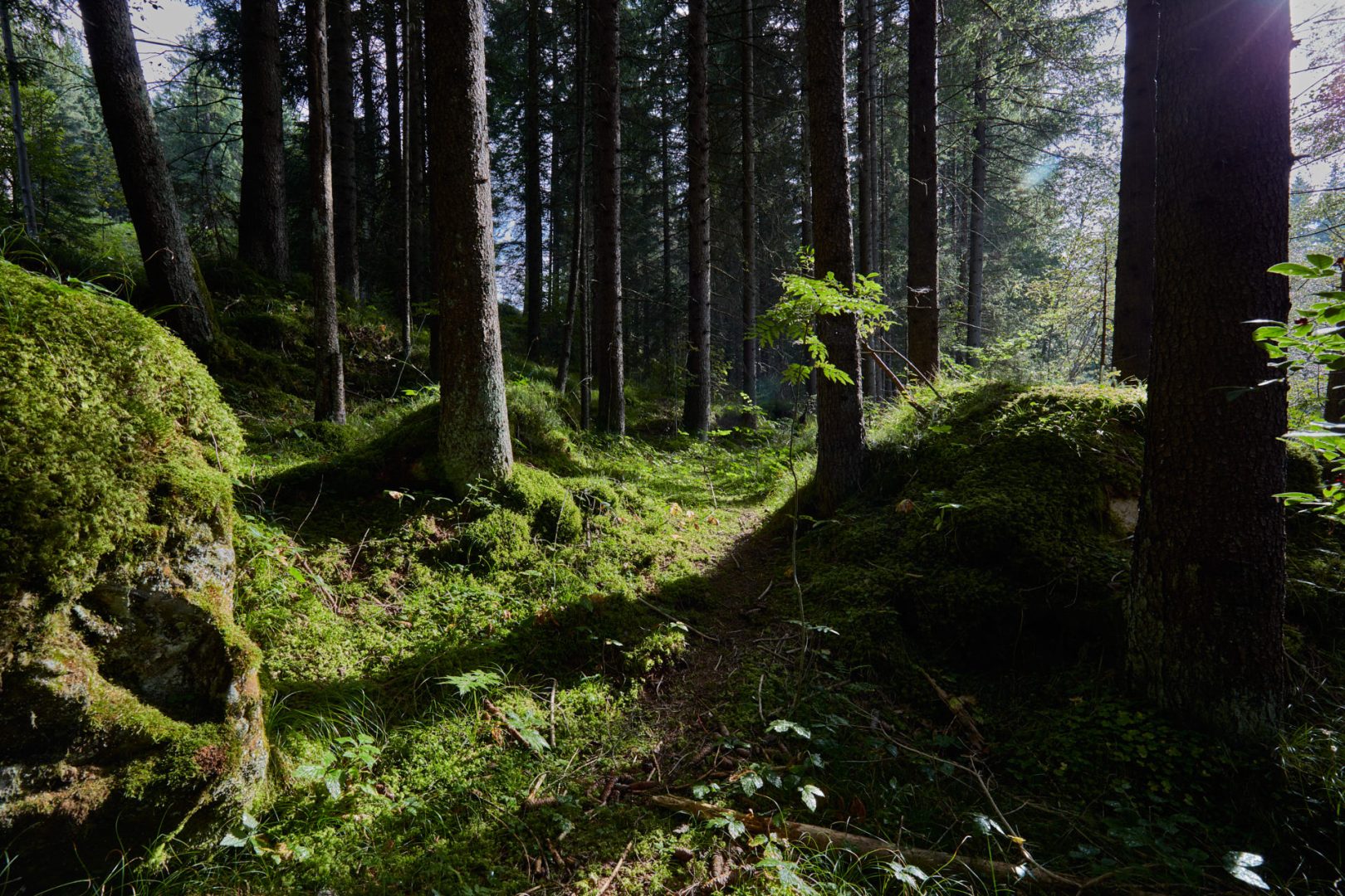 The call of nature  |  | Scorcio naturale 067