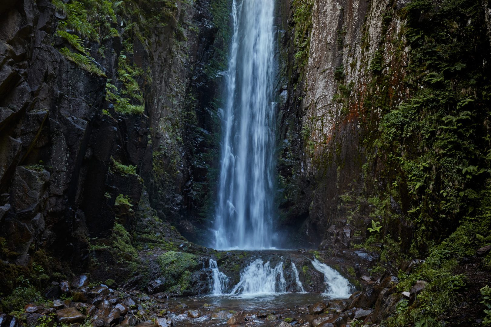 The call of nature  |  | Scorcio naturale 236