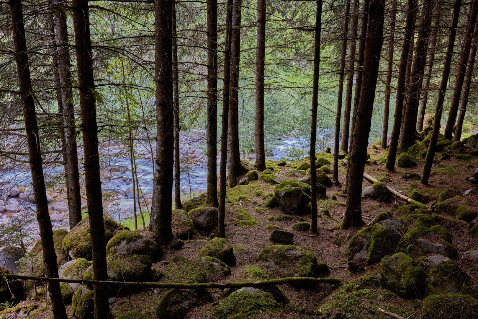 The call of nature  |  | Scorcio naturale 568