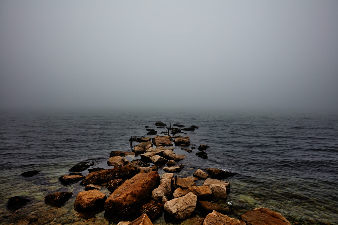 Untitled (working title)