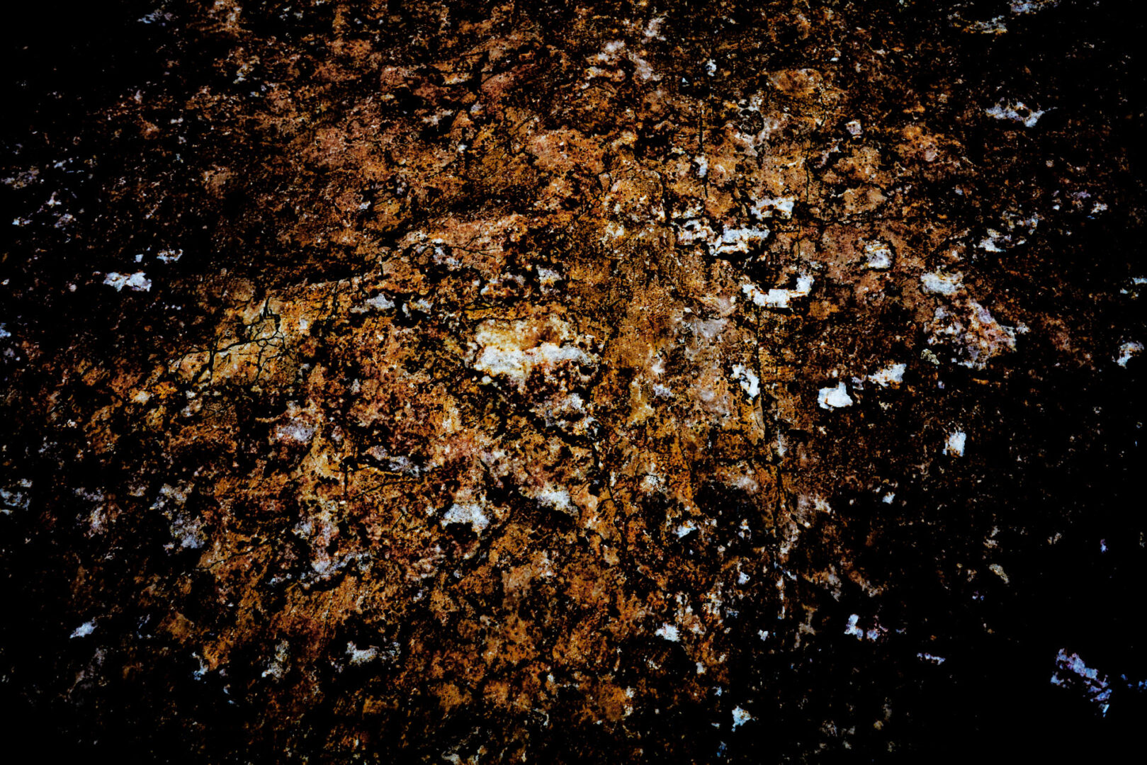 Untitled (working title)