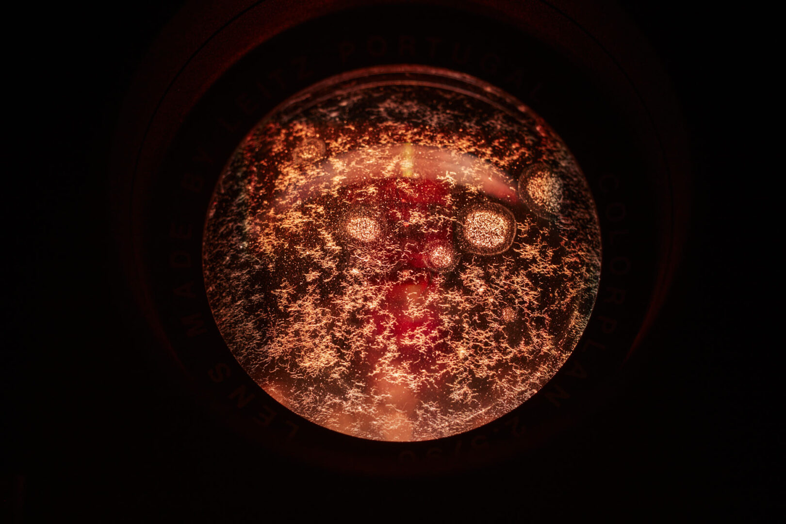 Untitled (working title)