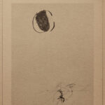 L’ombra del velo
